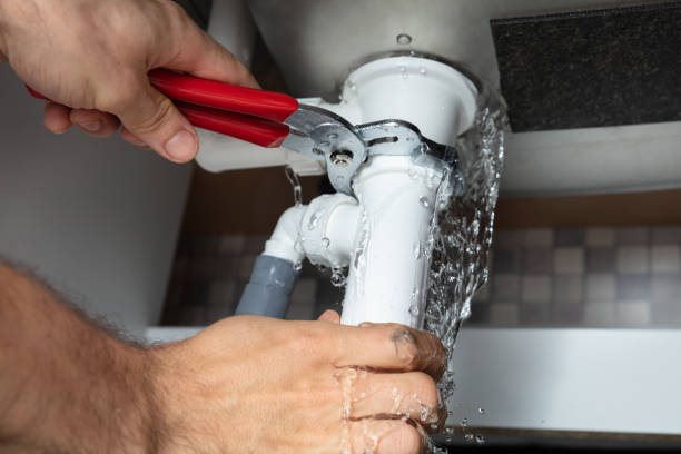 Best Mold removal after water damage  in Aledo, IL