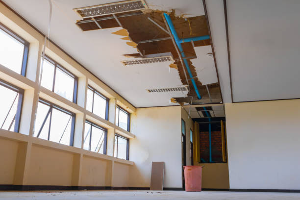 Best 24-hour water damage restoration  in Aledo, IL