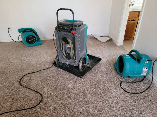 Best Flooded house restoration  in Aledo, IL