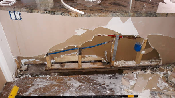 Best Mold removal after water damage  in Aledo, IL