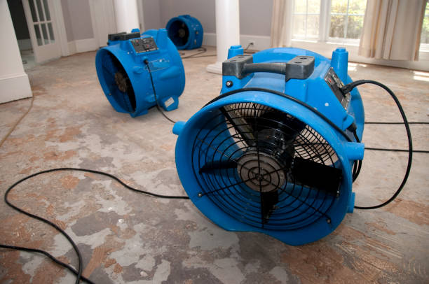 Best Basement water damage restoration  in Aledo, IL
